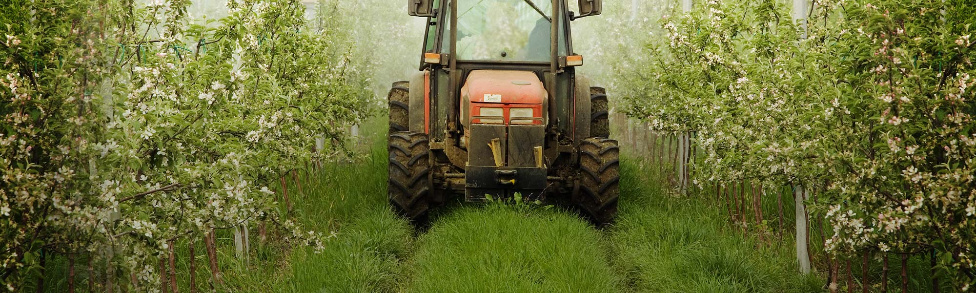 Orchard Management to Help Optimize Thinning Operations