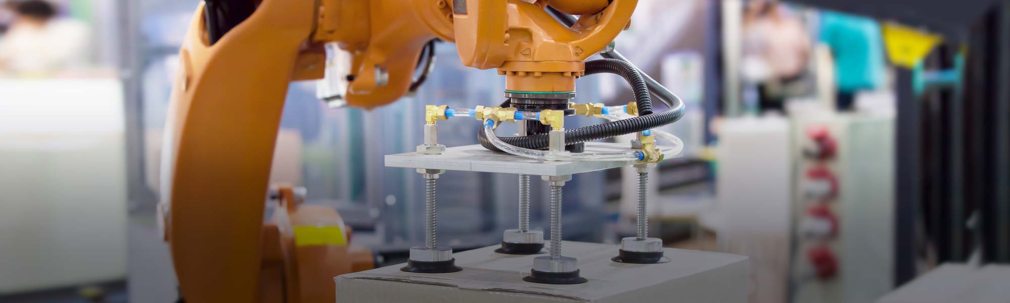 Edge AI Robotics