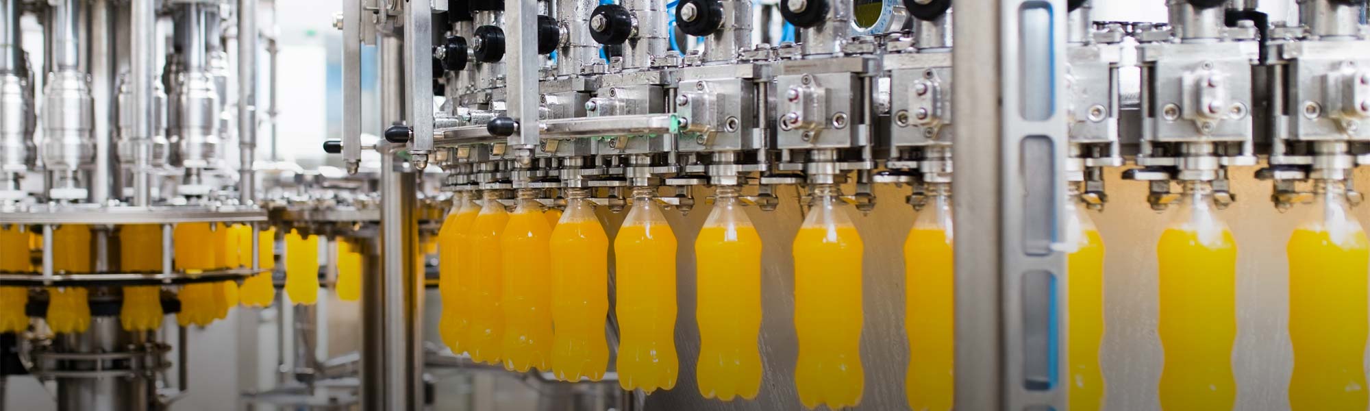 Bottle Fill and Lid Auto-check System