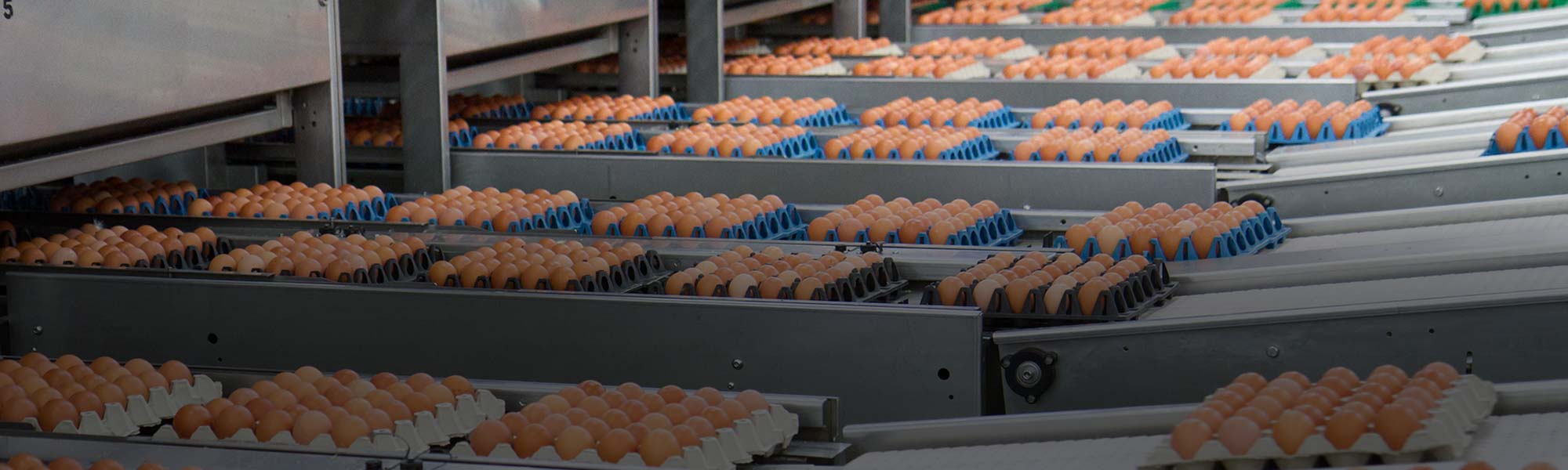 Edge AI Vision Inspection in Food & Beverage Industries