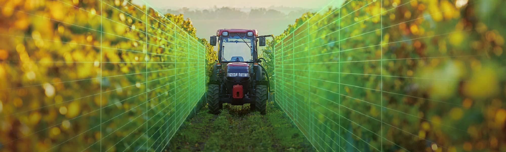 Precision Viticulture Utilizing AI Automation
